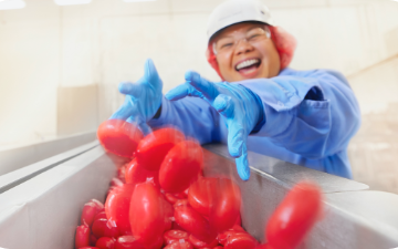 Smiling Babybel® worker wearing gloves and protective gear tossing Babybel snack cheeses onto a production line