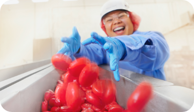 Smiling Babybel® worker wearing gloves and protective gear tossing Babybel snack cheeses onto a production line