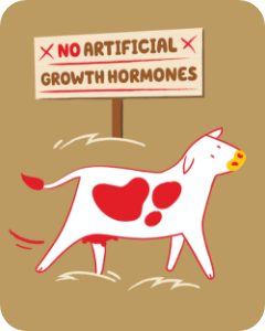Cartoon-style photo of a cow in a field in front of a sign that reads, "No Artificial Growth Hormones"