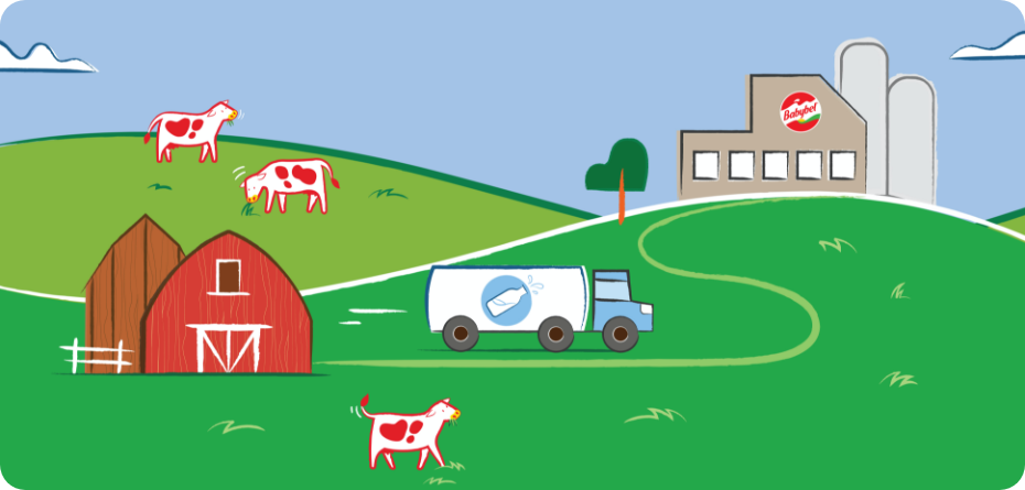 Cartoon-style photo depicting a dairy truck traveling from a local barn to the Babybel® plant