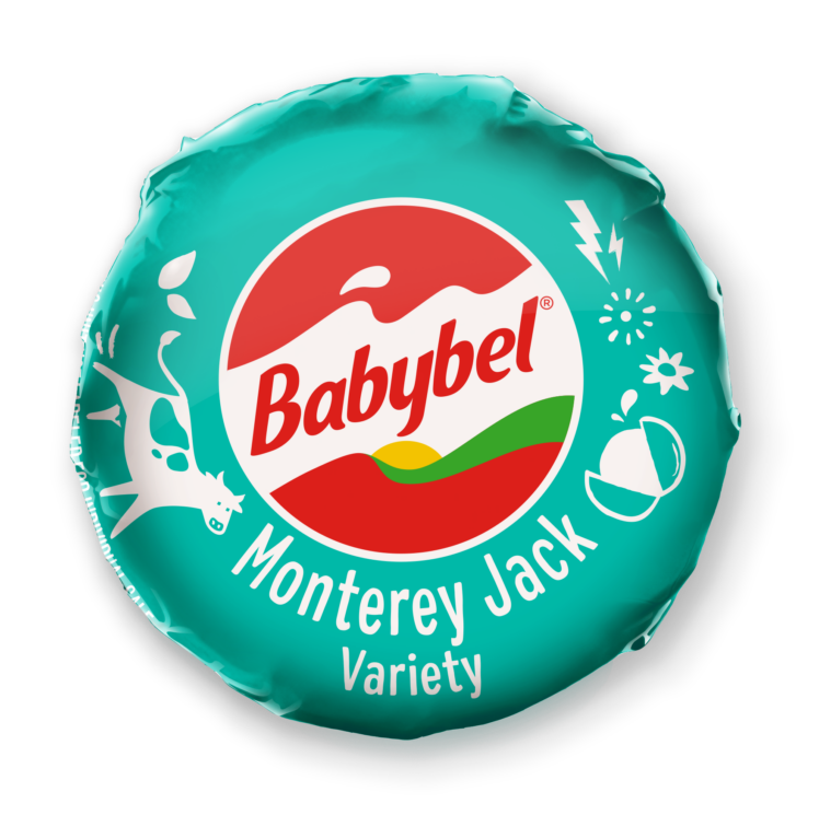 Monterey Jack Cheese Wheel